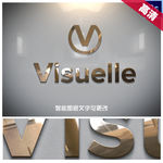 3D光面文字标志样式设计