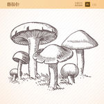 蘑菇香菇矢量图
