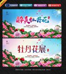 牡丹花