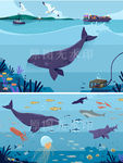 海洋馆生物鲸鱼鲨鱼海豚水母插图