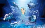 浪漫海洋装饰画