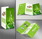 纯净水3折页效果图