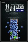 蓝莓采摘海报