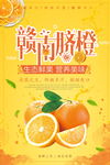 脐橙