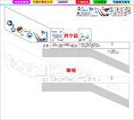 校园楼梯文化