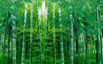3D竹子林电视背景墙