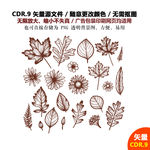 精美手绘树叶花朵枫叶矢量图