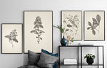 复古简约小清新植物叶子无框画