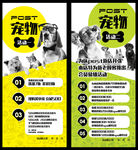 宠物店易拉宝设计