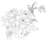 牡丹花鸟线稿