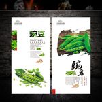 豌豆文化展板