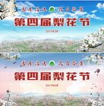 梨花节
