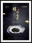 信阳毛尖