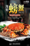 大闸蟹海报