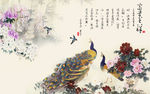富贵吉祥孔雀牡丹