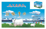 白牦牛肉箱包装