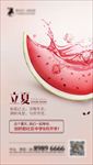 立夏单图