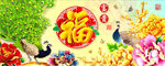孔雀 富贵 福
