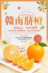 简洁水果赣南脐橙海报设计