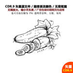 手绘线描蔬菜水果黄瓜矢量图