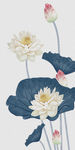 荷花油画