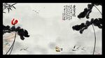 荷花图