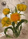 花卉装饰画