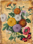 蝴蝶花卉装饰画