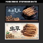 高档典雅古风中药冬虫夏草展板