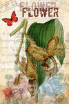 蝴蝶花卉装饰画
