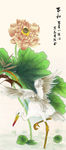国画荷花玄关