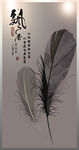 美丽羽毛特写高档玄关
