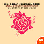 手绘浪漫玫瑰花月季花矢量图
