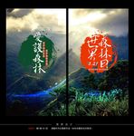 爱护森林