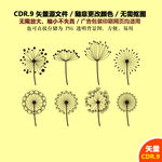 手绘蒲公英矢量图