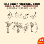 手绘水果香蕉芭蕉矢量图
