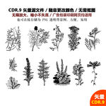 手绘植物草药矢量图