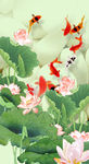 荷花玄关
