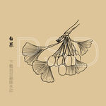 白果
