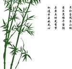 竹林