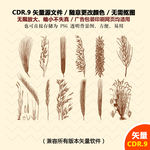 手绘麦子麦穗矢量图