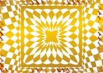 金星子 防伪证书纹