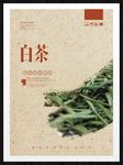 白茶