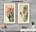 花鸟清新美图
