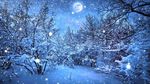 雪中月亮