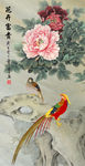 国画 锦鸡