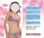 淘宝海报 文胸 海报 胸罩 新