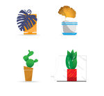 绿植小盆栽