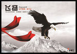企业文化展板之飞扬