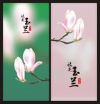 枝头玉兰